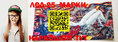 прущие грибы Моздок