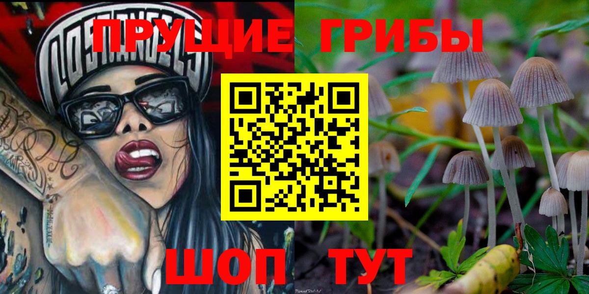 купить закладку  Вход с VPN  Галлюциногенные грибы прущие грибы  Чебаркуль  Галлюциногенные грибы Magic Shrooms 